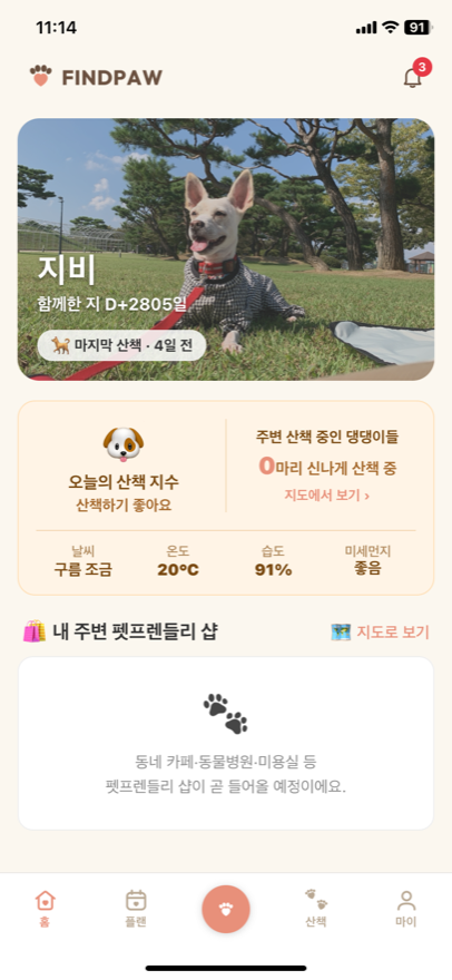 일반 모드 홈 — 오늘의 산책 지수와 내 주변 펫프렌들리 샵